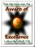Award of Excellence.