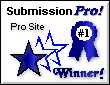 Submission Pro Award.